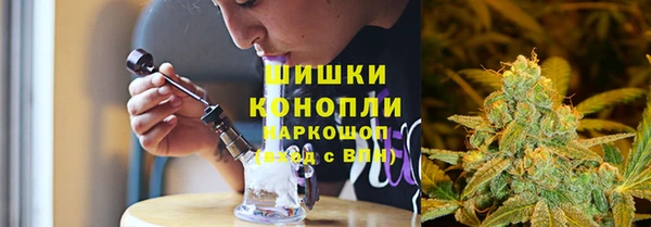 ПСИЛОЦИБИНОВЫЕ ГРИБЫ Балахна