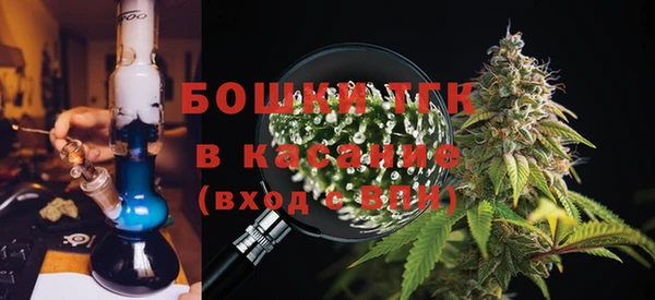 ПСИЛОЦИБИНОВЫЕ ГРИБЫ Балахна
