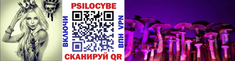 Псилоцибиновые грибы MAGIC MUSHROOMS  Кузнецк 